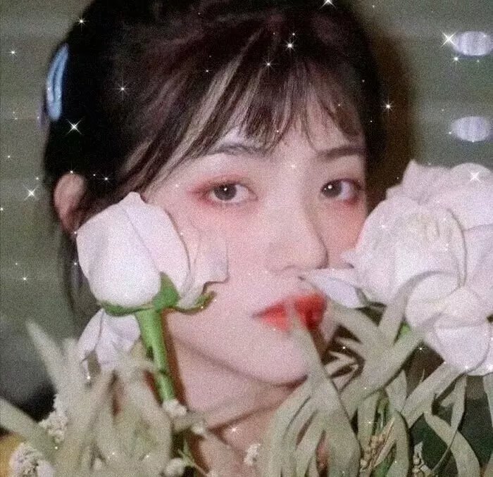 年少轻狂第四季